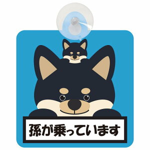 Ă܂ cƑ  u[ Z[teBTC zՃ^Cv ΍Жh~^Cv S^] ԓp ^]΍ S΍ J[TC CXg 킢