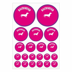 hbO XebJ[ Jt _bNXtg sNp[v A4TCY ܂Ƃ߂ċlߍ킹 TCY ی^ 21Zbg  V[ J[XebJ[  Lv  hbOt[hp 