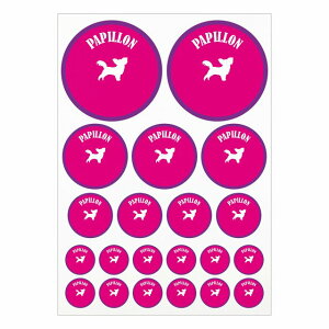 hbO XebJ[ Jt ps sNp[v A4TCY ܂Ƃ߂ċlߍ킹 TCY ی^ 21Zbg  V[ J[XebJ[  Lv  hbOt[hp O 