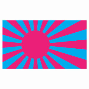 210x121mm  sN Cgu[  XebJ[ V[ National Flag   r