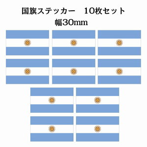 30x17mm 10Zbg A[` Argentine  XebJ[ V[ National Flag   r