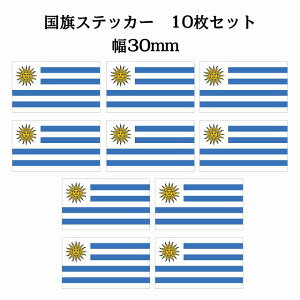 30x17mm 10Zbg EOAC Uruguay  XebJ[ V[ National Flag   r