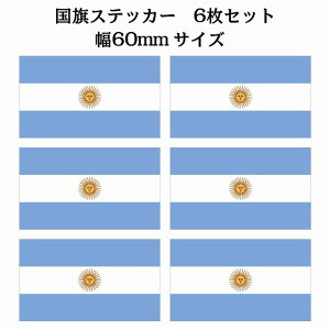60x34mm 6Zbg A[` Argentine  XebJ[ V[ National Flag   r