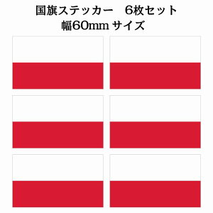 60x34mm 6Zbg |[h Poland  XebJ[ V[ National Flag   r