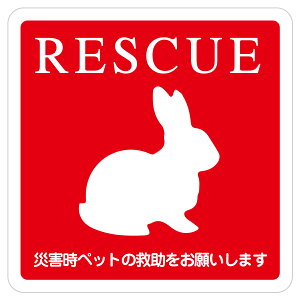 RESCUE XL[ ybg~  sNgTC XebJ[ V[ r CeA { ē  S΍