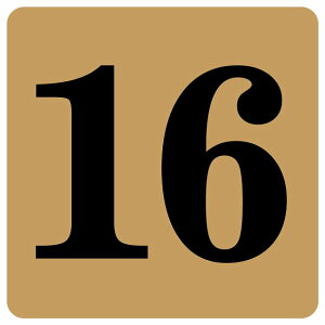 ԍV[ io[ V[ 27x27cm CguE  16 ē 싅 X|[c  Cxg c ԍ X Xg HX Vbv XgA Ȕԍ e[u