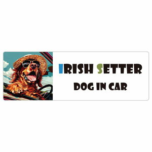 Irish Setter ACbVZ^[  J[XebJ[ V[ DOG IN CAR C Xq TOX  20x6.7cm ` h O  ԃXebJ[XebJ[    킢 oC