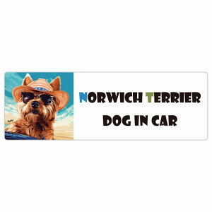 Norwich Terrier m[b`eA  J[XebJ[ V[ DOG IN CAR C Xq TOX  20x6.7cm ` h O  ԃXebJ[ XebJ[    킢 oC