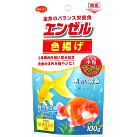 楽天市場 金魚 エンゼル 餌の通販