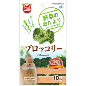 野菜のおたより ブロッコリー 10g【マルカン ペット 小動物 フード】