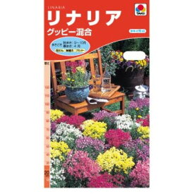 楽天市場 リナリアグッピーの通販