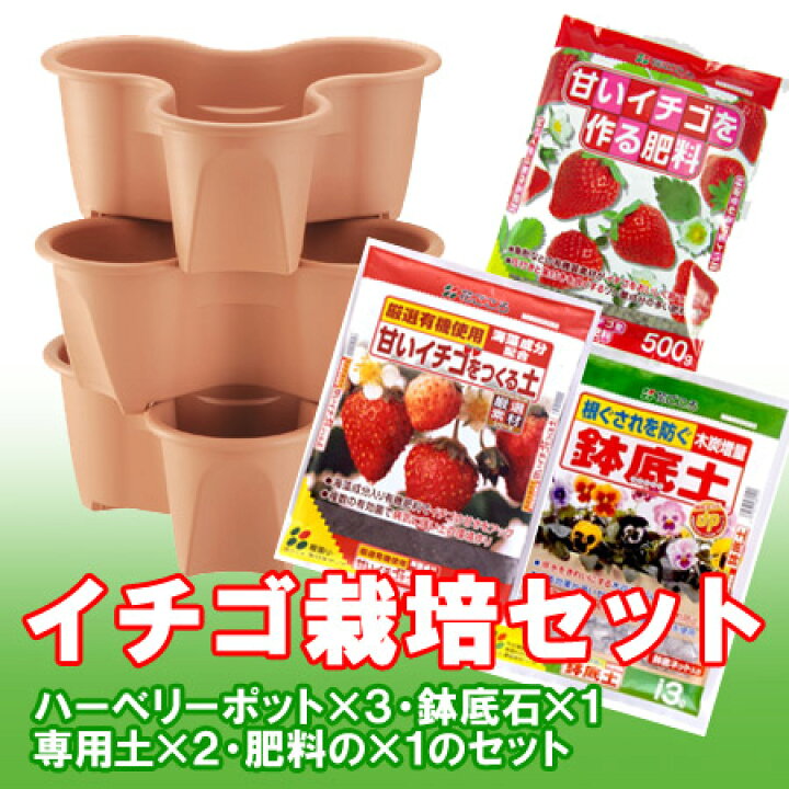 楽天市場 イチゴ栽培セット ハーベリーポット Rcp アヤハディオ ネットショッピング