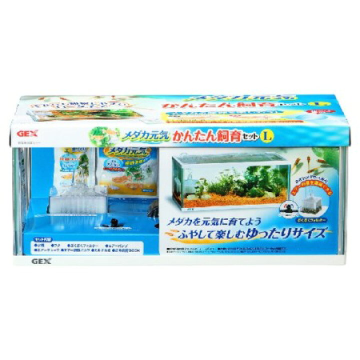 楽天市場 Gexメダカ元気かんたん飼育セットl Gex水槽水槽セットアクアアクアリウム アヤハディオ ネットショッピング