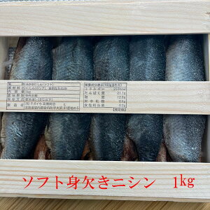mn\tg݂ɂ 1kg ؘg CY gɂ \tg ØI z ɂ񋼔 ̓@̓ hV̓  Ε 