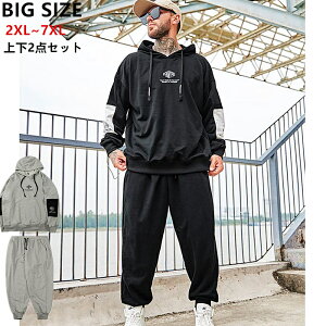 yZ[Ԓ 50OFFzyz㉺2_Zbg YW[W Yt@bV XEFbgZbgAbv t[ht NfUC ubN