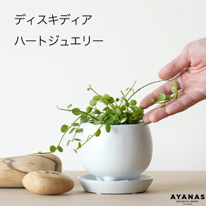 ϗtA   ~jTCY fBXLfBA n[gWG[  Ă₷ S ȒP  oȂ 킩Ȃ  v[g Mtg j ~j ϗt A mg[ 킢