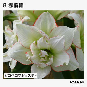 y|Cg5{zyyV1ʁz}WbNA}X  A}X Ki ϗtA     sN  Ԕ   d O[  ~ t tF[ X^[ X