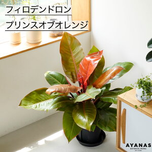 y{|Cg10{zϗtA ^ 傫 j  v[g Mtg A tBfh vX Iu IW u tATCY ωA  lC ȒP CeA 