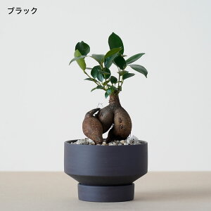 _12/4 20:00` 3490~2790~^ϗtA   ~jTCY KW} ܂ Iׂ A Ă₷ S ȒP SmL S̖  oȂ 킩Ȃ  v[g Mt