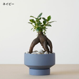 ϗtA   ~jTCY KW} ܂ Iׂ A Ă₷ S ȒP WpfB SmL S̖  oȂ 킩Ȃ  v[g Mtg j ~