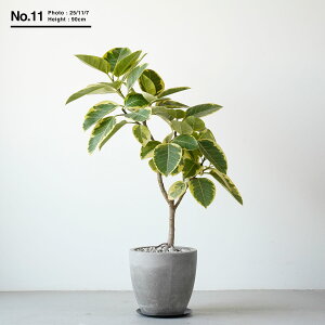 _12/4 20:00` 16980~13580~^ϗtA ^  傫 Iׂ tBJX AeV}   SmL S̖ { u rO V{c[ A ωA CeA O