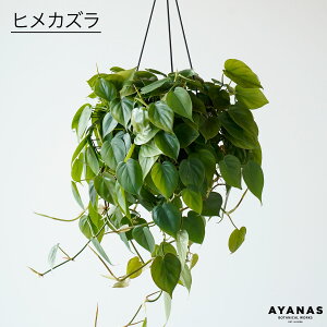 y11()܂Ń|Cg5{zϗtA  傫 ^ ݂艺 qJY ILVJWE ݂邷 ݂蔫 nMO ~jTCY ꉺ A  lC ȒP CeA O