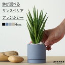 観葉植物 おしゃれ 小さい ミニサイズ 選べる サンスベリア フランシシー ニュアンスカラー ジャパンディ 日陰 日当たりが悪い お洒落 小型 グレー 黒 ベージュ ネイビー 紺 青 かわいい おすすめ 人気 簡単 インテリア グリーン 室内 リビング ギフト プレゼント 3号 本物
