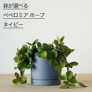 ϗtA   ~jTCY Iׂ yy~A z[v jAXJ[  WpfB A 肪  ^ O[  x[W lCr[   킢 ȒP 