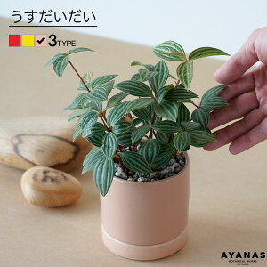 ϗtA   ~jTCY yy~A veI[^  F  x[W Ă₷ S 񂽂  oȂ 킩Ȃ  ~j ϗt A mg[ 킢 