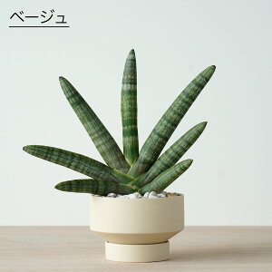 ϗtA   A ~jTCY j Iׂ TXxA {ZVX WpfB 肪 ^ O[  x[W lCr[   킢  lC ȒP 