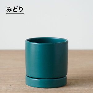 ϗtA Aؔ Vv 킢  Aւ   I[Z 8.5cm 2.5 Mt     F  O[   ~jTCY Aւ  ~j 픫 Jo[ 