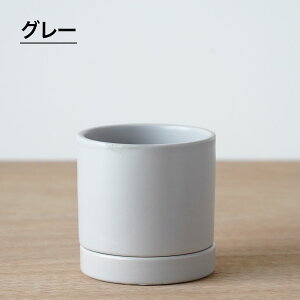 �ϗt�A�� �A�ؔ� �V���v�� ���킢�� ������� �A���ւ� �� ������ �I�[�Z 8.5cm 2.5�� ��M�t�� �� �� �� �� ���F ������������ �O���[ ���� ���� �~�j�T�C�Y �� �~�j ���픫 ���J�o�[ �|�b�g�J�o