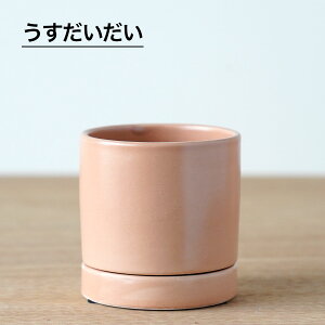 _12/4 20:00` 748~374~^ϗtA Aؔ Vv 킢  Aւ   I[Z 8.5cm 2.5 Mt     F  O[   ~jTCY  ~j 