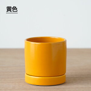 X[p[SALE y33%OFFzϗtA Aؔ Vv 킢  Aւ   I[Z 8.5cm 2.5 Mt     F  O[   ~jTCY Aւ  ~