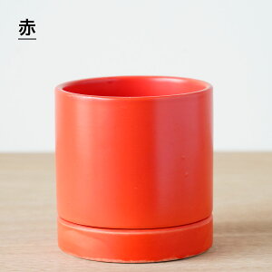 ϗtA Aؔ Vv 킢  Aւ   I[Z 11.5cm 3.5 Mt     F  O[   ~jTCY Aւ  ~j 픫 Jo[ 