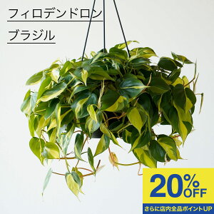 _12/4 20:00` 10980~8780~^ϗtA  傫 nMO ^ ݂艺 tBfh uW ݂邷 |gX ݂蔫 ~jTCY ꉺ A  lC ȒP Ce