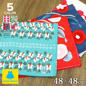 y݌ɏizyG݁z`[ty|vz C~ 5 48cmӂ낵/o/ٓ/n/Ăʂ/ʂ/s/aG/nJ`/a/GRobO Mtg [M 1/4]