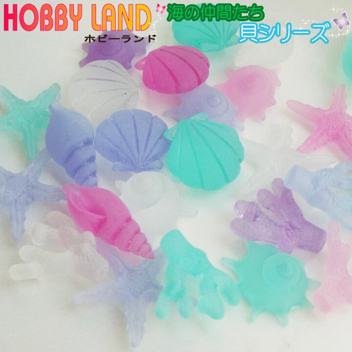 楽天市場 トイレ 飾り 可愛い おしゃれ 海の仲間たち 貝シリーズ 彩世館