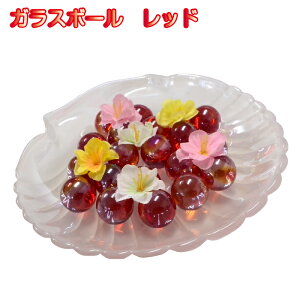 �g�C�� ���� ���� �������y�K���X�{�[�� ���b�h�z