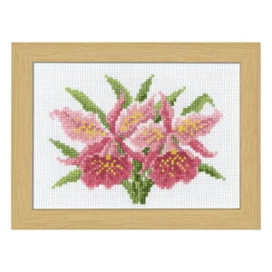 IpX@NXXeb` イLbg@12̉ԃt[@`}[EJg[k@RNV`@1JgA@7506