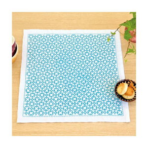 IpX@hqԂӂLbg@NXȂij@SK-316