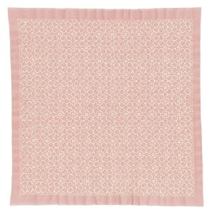 IpX@hqԂӂLbg@̉ԁiasNj@SK-365