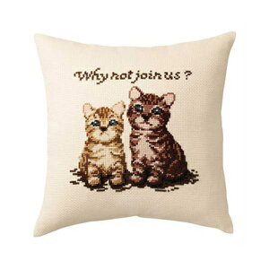 Olympus(IpX)@イLbg hbOXLbc@ꏏɂ 6030(x[W)