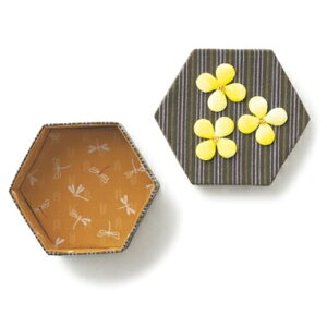 IpX @pb`[NLbg@a̋ʎ蔠@PA-789 ؂̉Ԕ