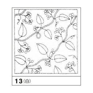 OlympusiIpXjhqԂӂzpbNij؂̎13