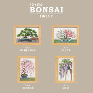 Olympus(オリムパス) 　12ヶ月のBONSAI マリー・カトリーヌCollection 7612 7613 7614 7615