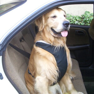 tH[|EY(Four Pows) ZCteBV[gn[lX M