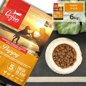 �I���W�� (Orijen) �h�b�O�t�[�h [�p�s�[/6kg]