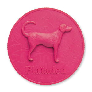 vCA[fpʋlLbv [hbO[t/t[VsN]