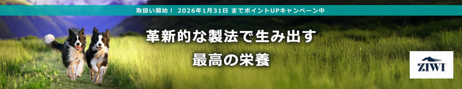 Ziwi Peak 販売開始！1月31日までポイントUP